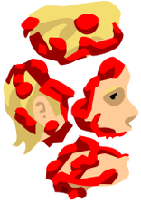 Irresponsible Girl's broken head pieces.