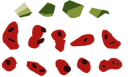 Watermelon particles.