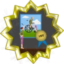 The "Our Professional Painter" badge.