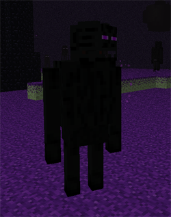 Ender guardian Minecraft Skins