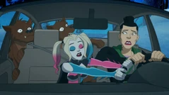 Harley sleep-drives