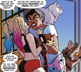 Catwoman is not amused by Harley's arrival