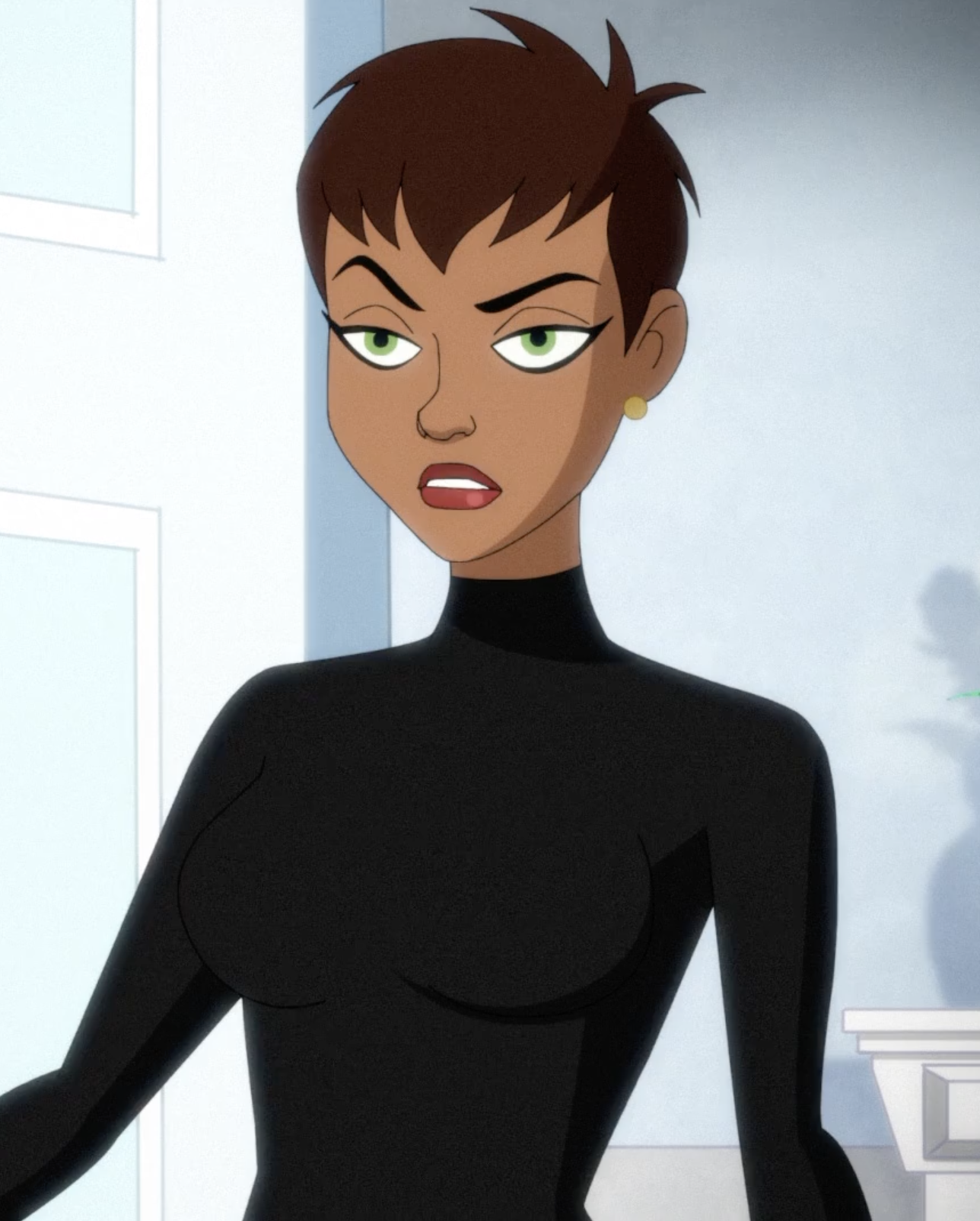 Catwoman | Harley Quinn Wiki | Fandom, image size:1288x1604