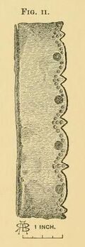 Fig-2