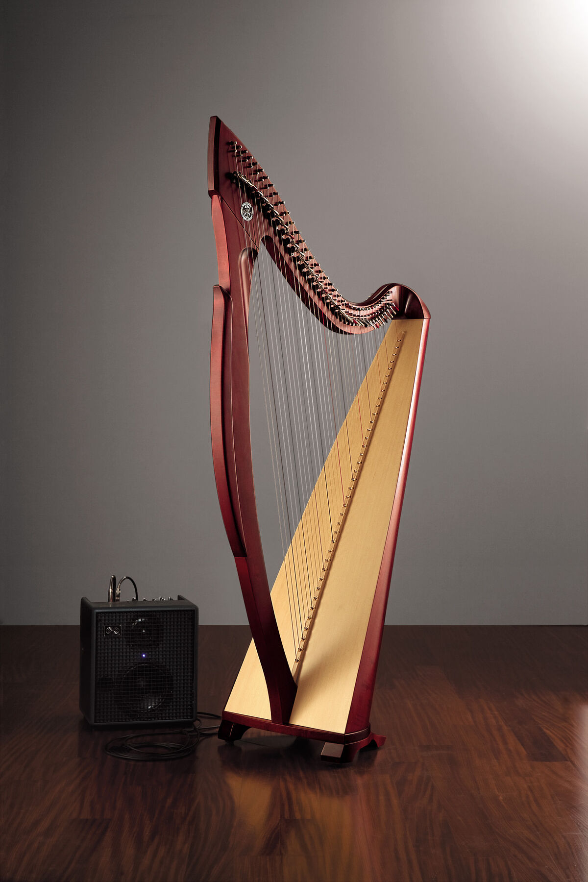 Salvi shop egan harp