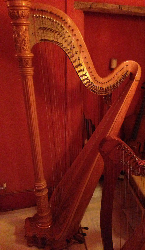 lyon and healy harp strings minnesota