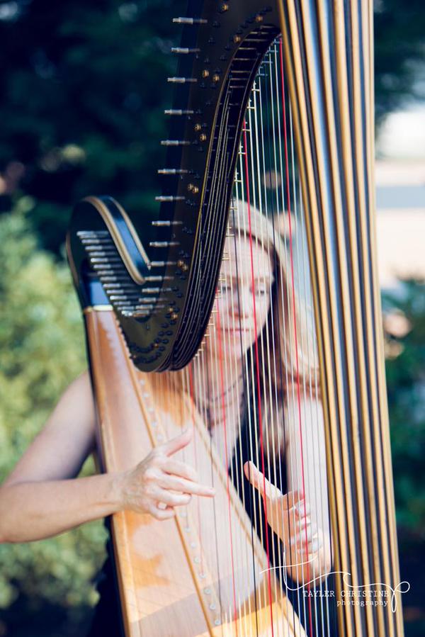picture of a lyon healy harp