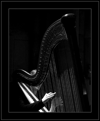 Harp Competitions Harp Wiki Fandom