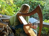 Folk Harp