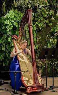 Salvi diana harp for sale top