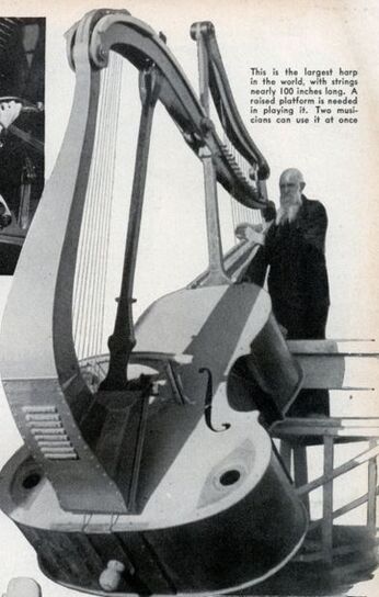 Unusual Harps Harp Wiki Fandom