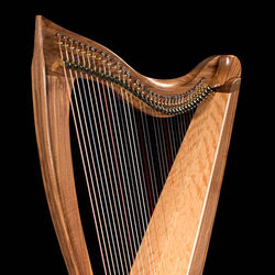 Category Dusty Strings Harp Wiki Fandom