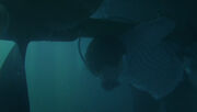 1x01 - Ben's Death