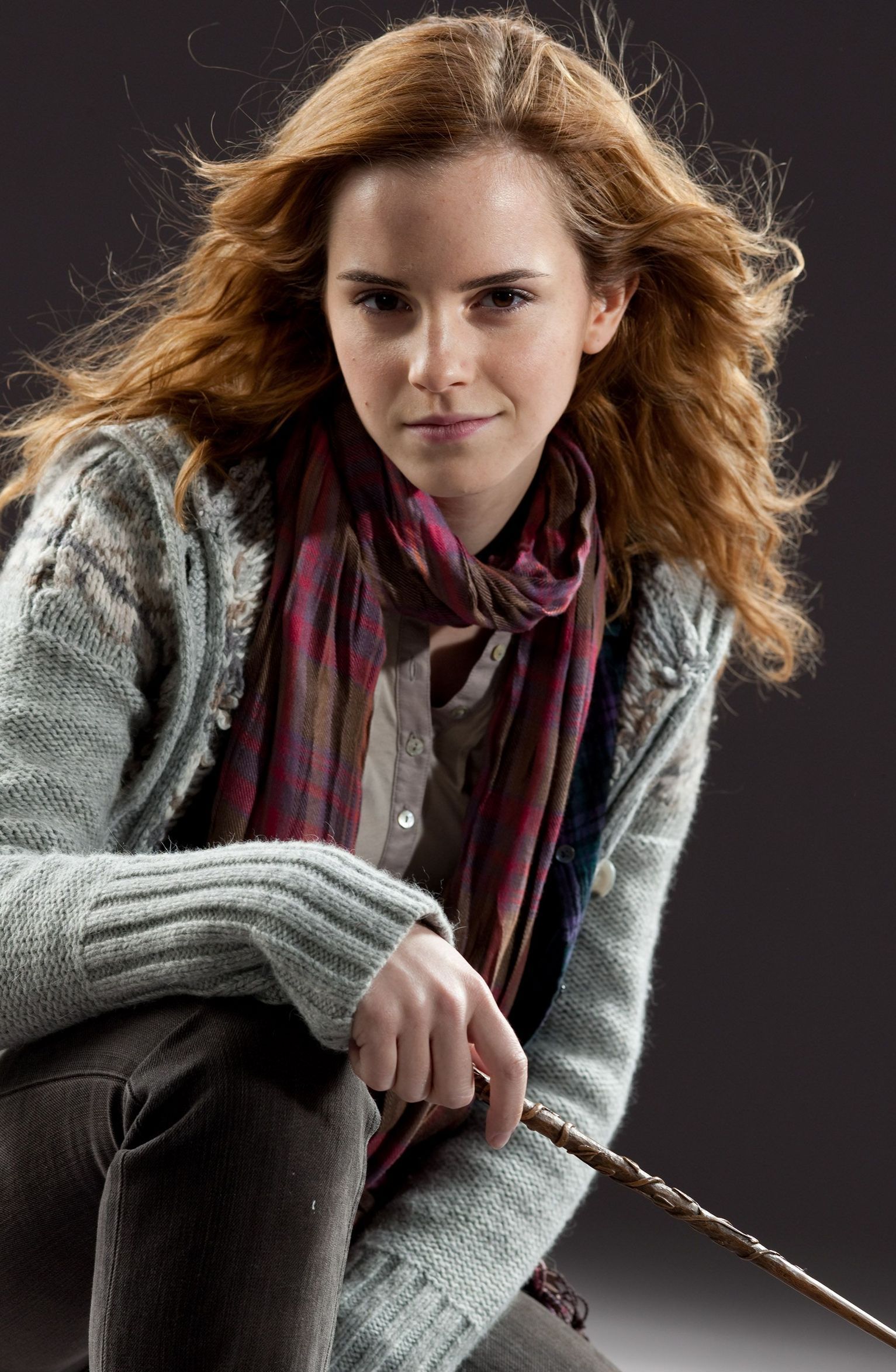 Hermione Granger Harry Potter Wiki Fandom