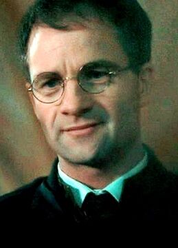 Fleamont potter cheap