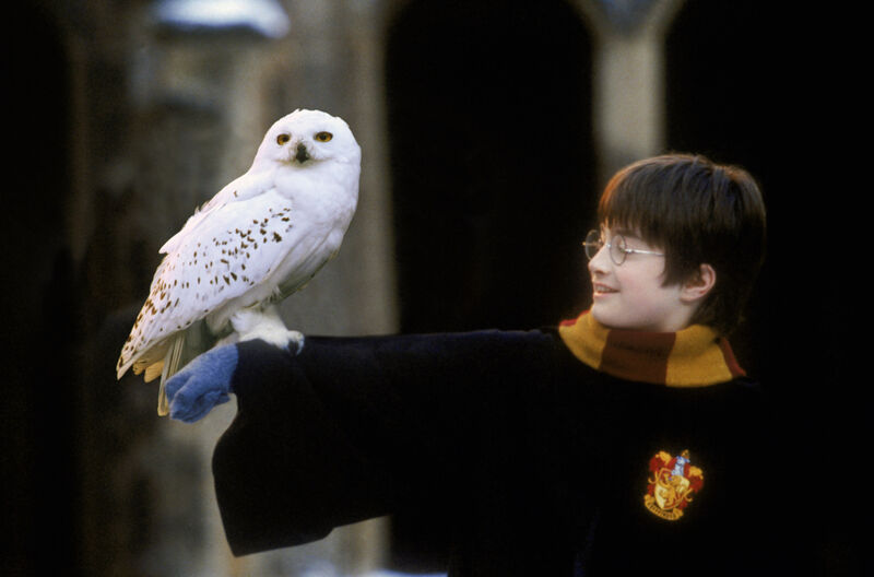 Owls get the sack, Harry Potter gets a set of stamps