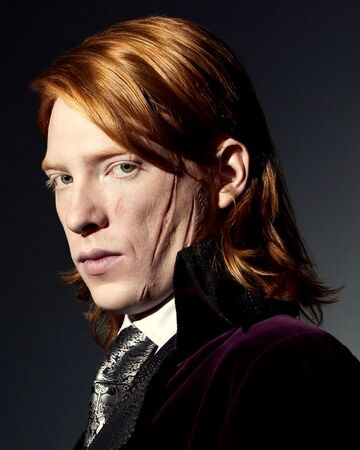 Bill Weasley Harry Potter What If Wiki Fandom I got it from the noble collection for $28.50 and gave it a 9 1/2 out of 10. bill weasley harry potter what if