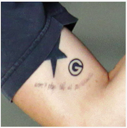 List Of Tattoos Harry Styles Wiki Fandom
