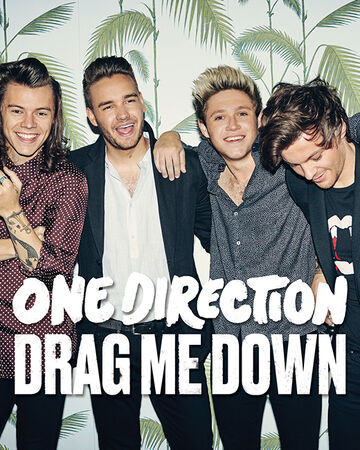 Drag Me Down Harry Styles Wiki Fandom