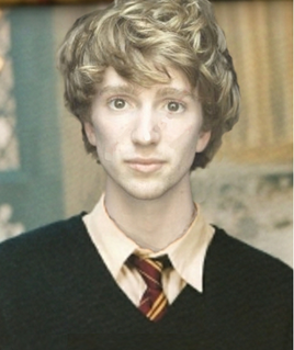 Teddy gryffindor