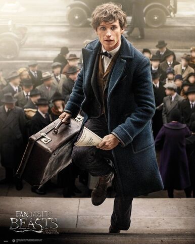 Newt scamander store trench coat