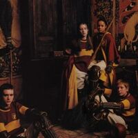Gryffindor Quidditch Team Harry Albus Potter Wiki Fandom