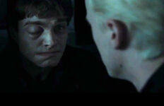 DracowithHarry