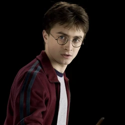 Harry/Albus Potter Wiki | Fandom