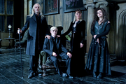 DH1 The Malfoy Family