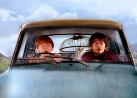 Ron Harry macchina volante