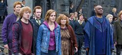 WeasleysHermioneyKingsley Battle of Hogwarts HPDH2