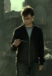 180px-Harry Elder Wand.jpg
