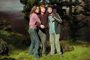 An-injured-trio-in-the-grounds-1050x0-c-default