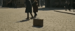 COG Newt Appare Vestigium.gif
