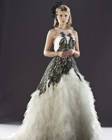 Fleur Delacour S Wedding Dress Harry Potter Wiki Fandom