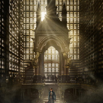 Fantastic Beasts And Where To Find Them Film Harry Potter Wiki Fandom