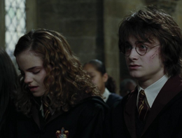 Harry and hermione cedric memorial