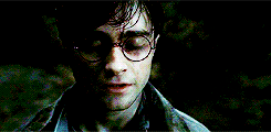 死の秘宝 Harry Potter Wiki Fandom