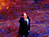 Filius Flitwick