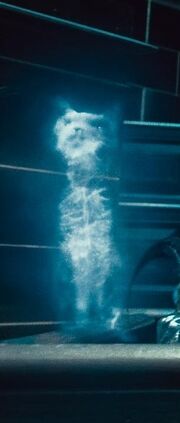 Umbridge Patronus