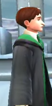 Unidentified Slytherin