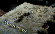 Monsterbuch