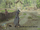 Hengist of Woodcroft reference HL.png
