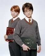 PromoHP1 Harry Potter et Ron Weasley 3