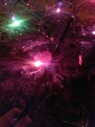 Ness i jej zabawy z Lumos