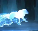 Lion-patronus.jpg (1.38 MB) Lion