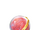 Remembrall - PAS.png