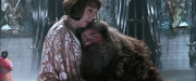Hagrid e Madame Maxime al Ballo del Ceppo