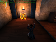 Harry seen casting the removed Avifors Spell in the first video game