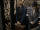 Tina Newt in MACUSA elevator 1926.gif